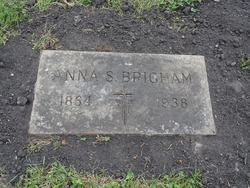 Anna S Brigham