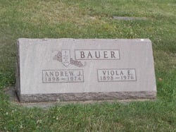 Andrew J Bauer