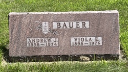 Viola Bauer