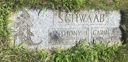 Carola Schwaab