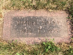 Daniel J Haley