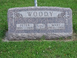 Peter B Woody