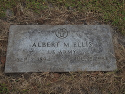 Albert M Ellis