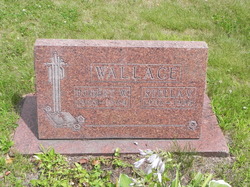 Robert Wallace