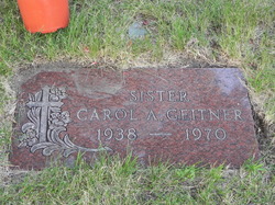 Carol Geitner