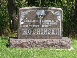 Donald J Mochinski