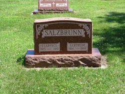 Clarence Salzbrunn