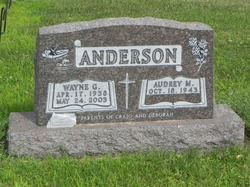 Wayne Anderson