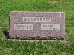 Marion J Sicheneder