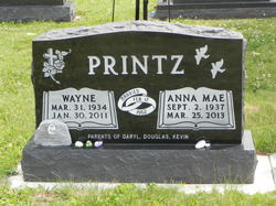 Wayne Printz