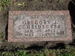 Gregory Scheidecker