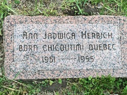 Ann J Herbich