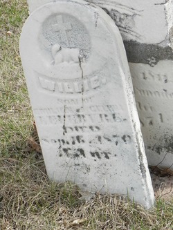 Willie Lefebvre