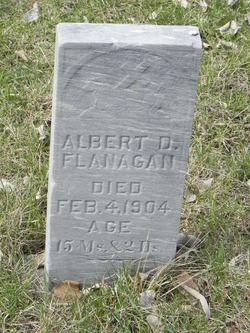 Albert D Flanagan