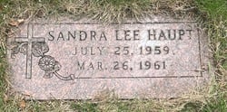 Sandra Haupt