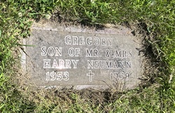 Gregory Neumann