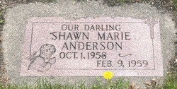 Shawn Marie Anderson