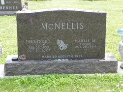 Terrence McNellis