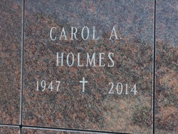 Carol A Holmes