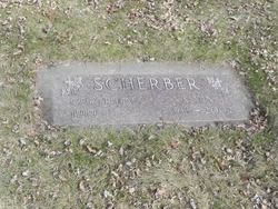 Alvin P Scherber