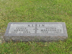 Arnold J Klein